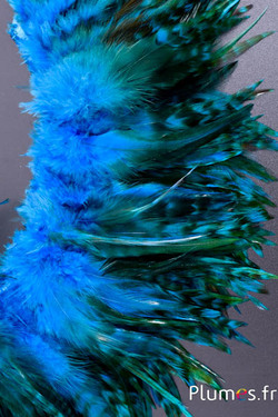Frange coq chin roux - long. plumes 10-15 cm - turquoise